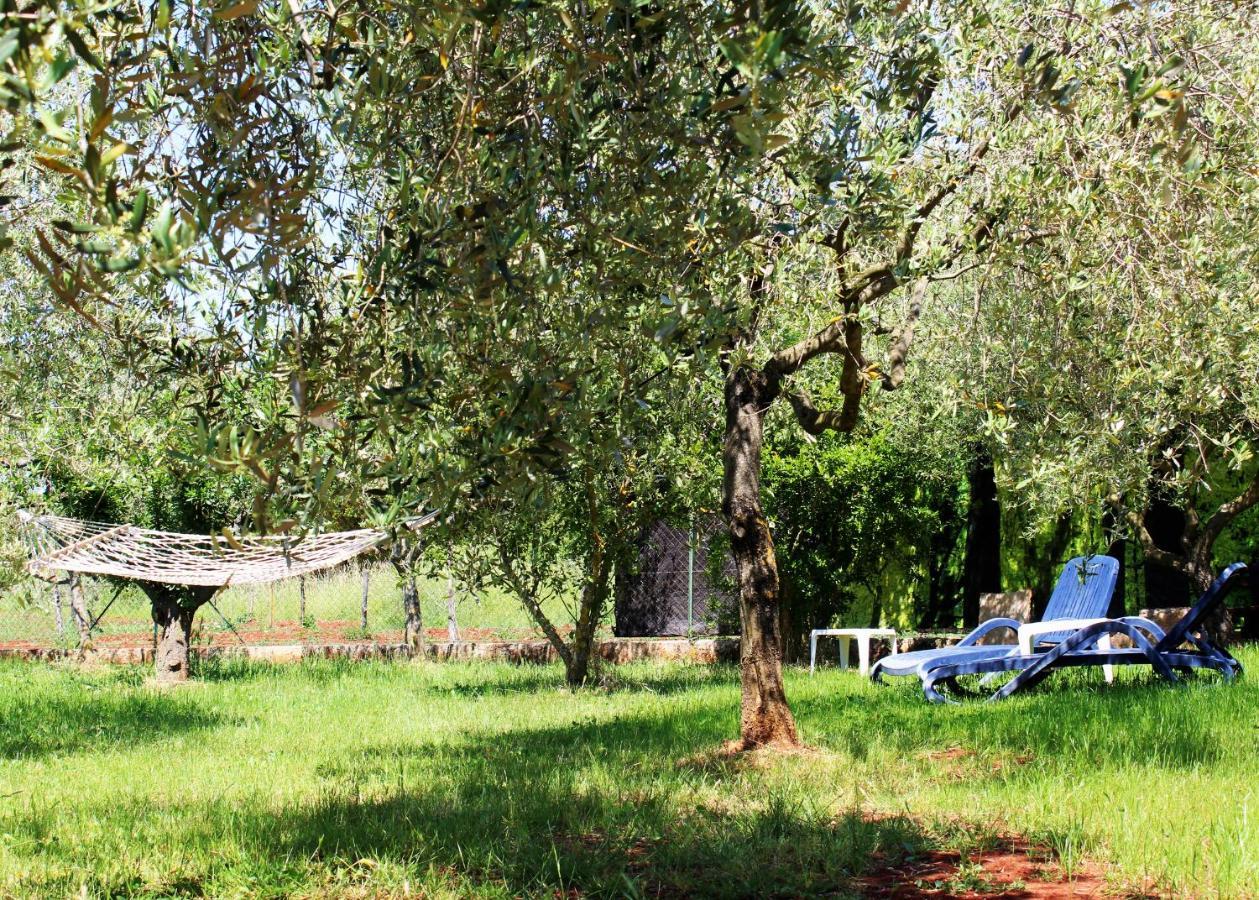 Oliven Garden Villa Rovinj Exterior photo